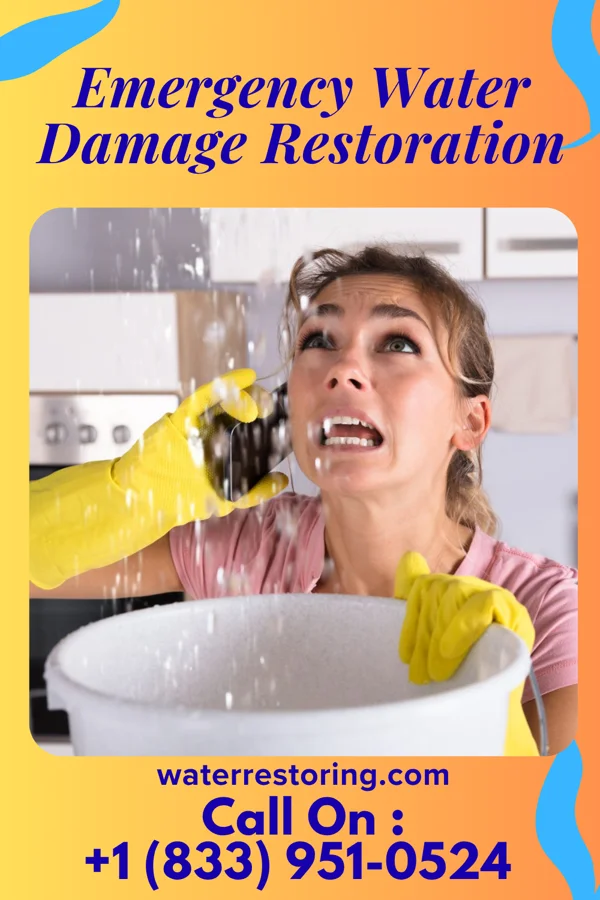 Emergency Water Damage Restoration in Somerset, KY