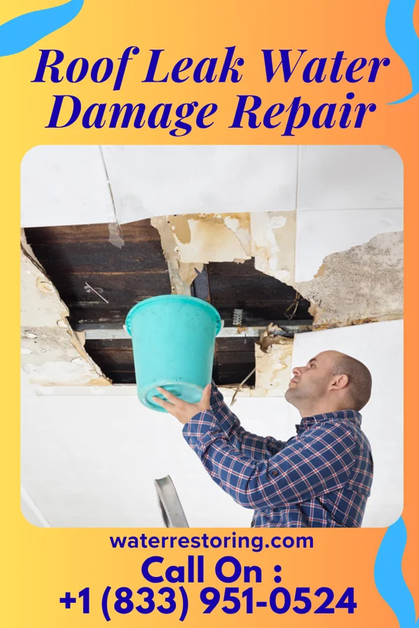 Roof Leak Water Damage Repair in Somerset, KY