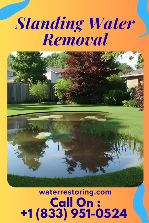 Standing Water Removal in Somerset, KY